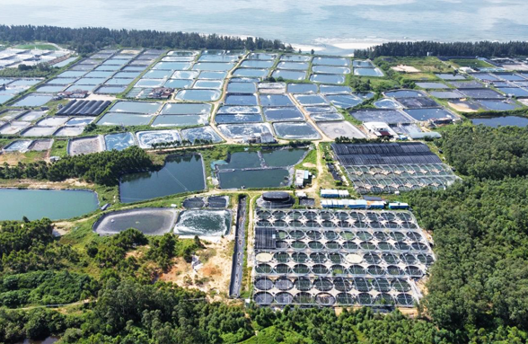 我司中標陽江市陽西縣海水養(yǎng)殖尾水治理示范項目的設計服務