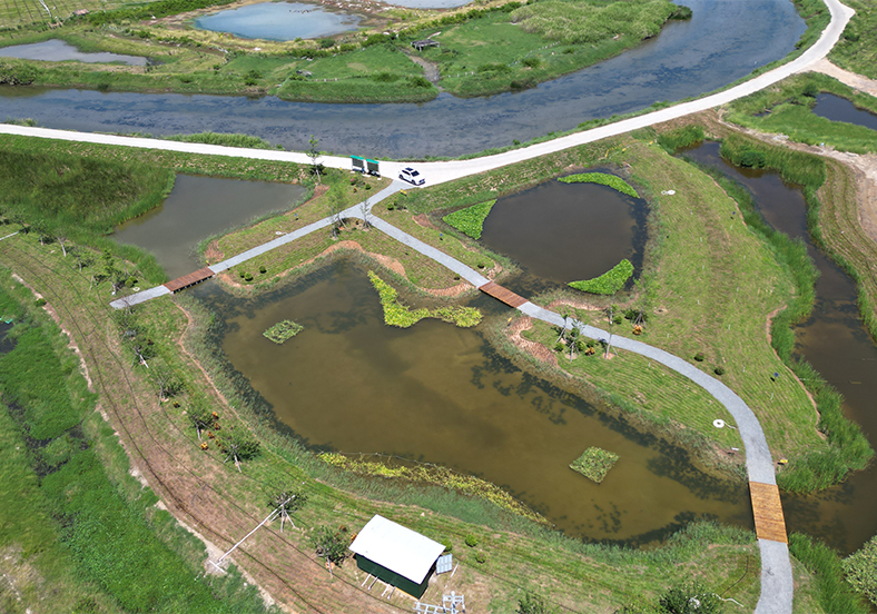 多污染源協(xié)同治理