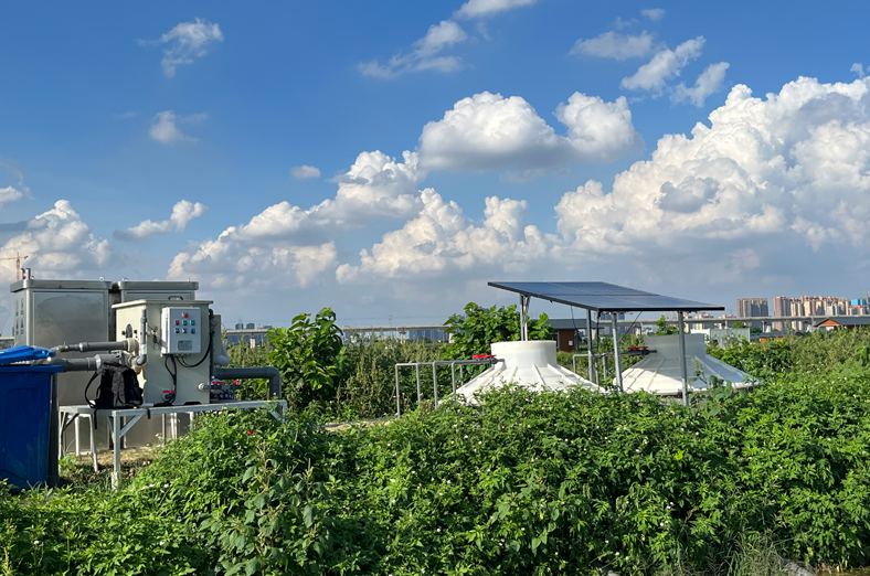 節(jié)水增效、低碳、生態(tài)