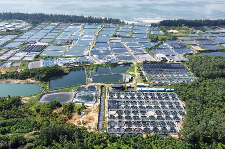 設(shè)計(jì)與施工圖預(yù)算編制工作