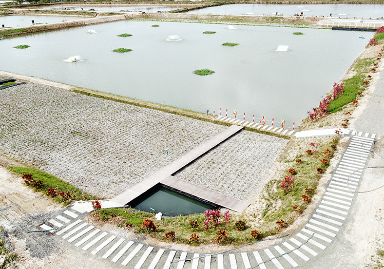 徐院士團(tuán)隊(duì)為項(xiàng)目提供技術(shù)支持